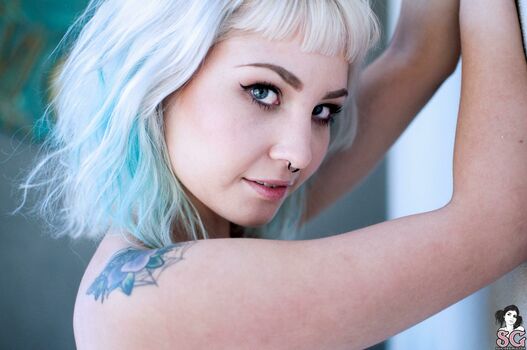 arachnie
