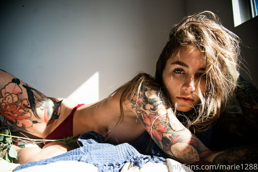 avajane8