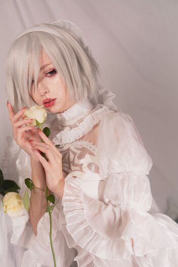 Himee.lily
