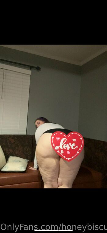 honeybiscuit20