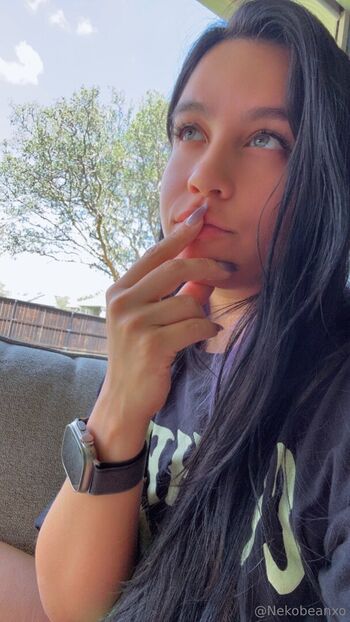 nekobeanbb