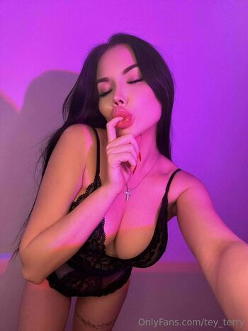 tey_terry
